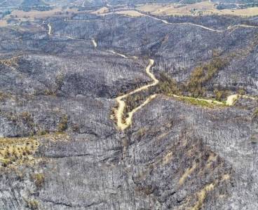 Aladağ’da kahreden manzara