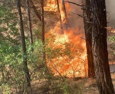 Bağtepe'de ki yangın erken müdahale sayesinde söndürüldü