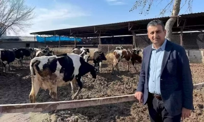 Et Markette 100 Tl, Biz 30 Tl’ye Kestiriyoruz