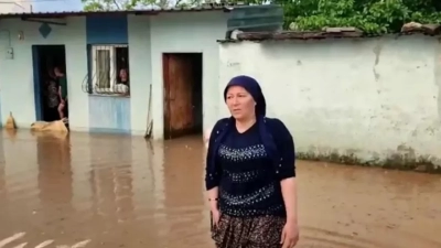 Kozan’da sağanak, dolu ve şiddetli fırtına çınar ağacını yerinden söktü