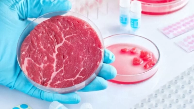 İtalya’da hükümet sentetik gıdayı yasaklayacak