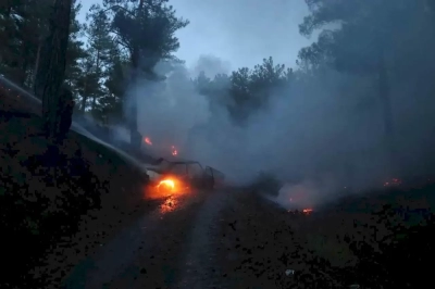 Pozantı’da otomobilde çıkan yangın ağaçlara sıçradı