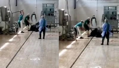 Adana Et Kombinası’ndaki İki Personel Gözaltında!