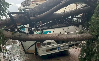 Şiddetli rüzgarda ağaç midibüsün üzerine devrildi