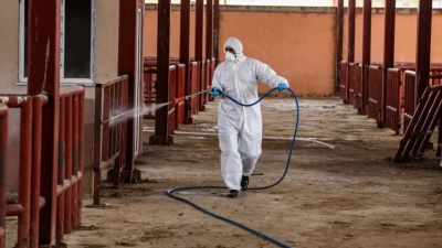 Zonguldak’ta 215 köyde şap karantinası