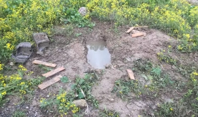 Mezarlığa gömülmüş cenin bulundu