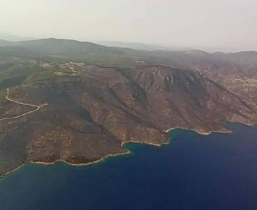 Milas'ın güzelim ormanları kül oldu