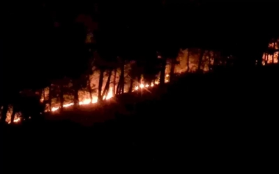 Kozan’da orman yangını