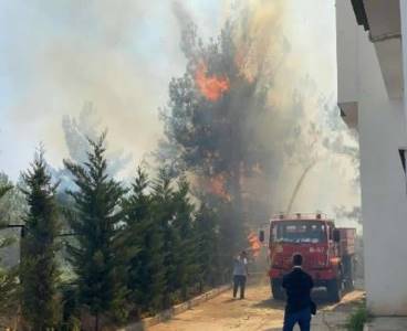 Osmaniye’de hastane ve yerleşim alanı yakınında orman yangını