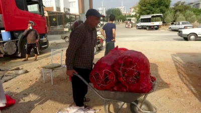 Kozan’da biber salçasının meşakkatli yolculuğu başladı