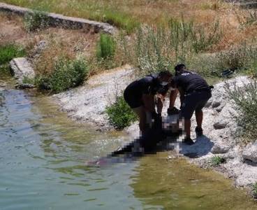 Seyhan Nehri'nde erkek cesedi bulundu