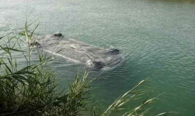 Sulama kanalına uçan arabadan 3 erkek cesedi çıktı