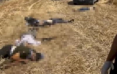 Diyarbakır’da arazi kavgası: 9 ölü