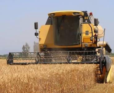 Kozan'da bu yılın ilk buğday hasadı yapıldı