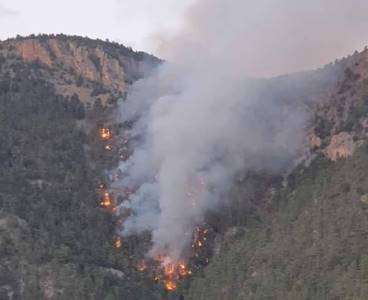 Saimbeyli'de orman yangını