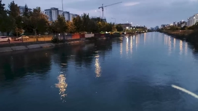 Yeğenini kurtarmak isteyen dayı sulama kanalında kayboldu