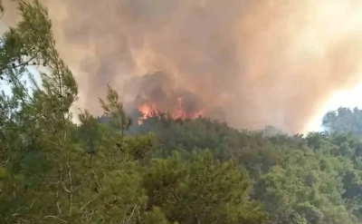İmamoğlu’nda orman yangını